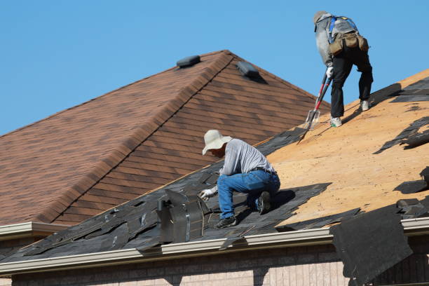 Best Flat Roofing  in Lovelock, NV
