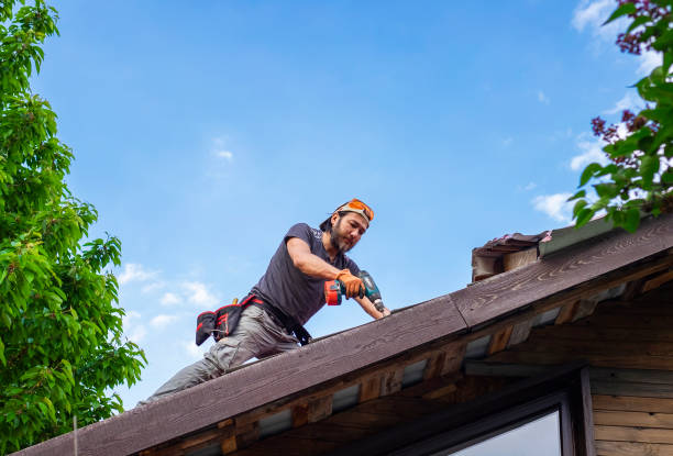 Waterproofing in Lovelock, NV