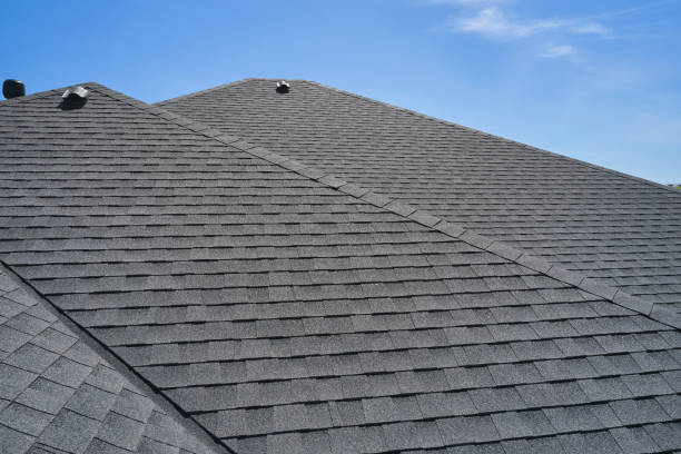 Best Gutter Installation and Repair  in Lovelock, NV