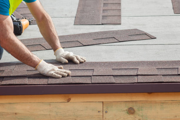 Best Skylight Installation and Repair  in Lovelock, NV